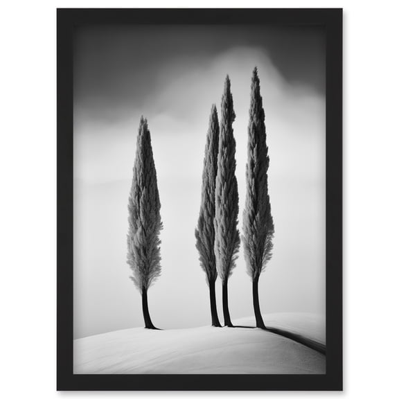 Group of Cypress Trees on Snowy Hill Minimalist Black and White Photograph Cypresses in Foggy Winter Landscape Artwork Framed Wall Art Print A4