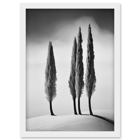 Group of Cypress Trees on Snowy Hill Minimalist Black and White Photograph Cypresses in Foggy Winter Landscape Artwork Framed Wall Art Print A4