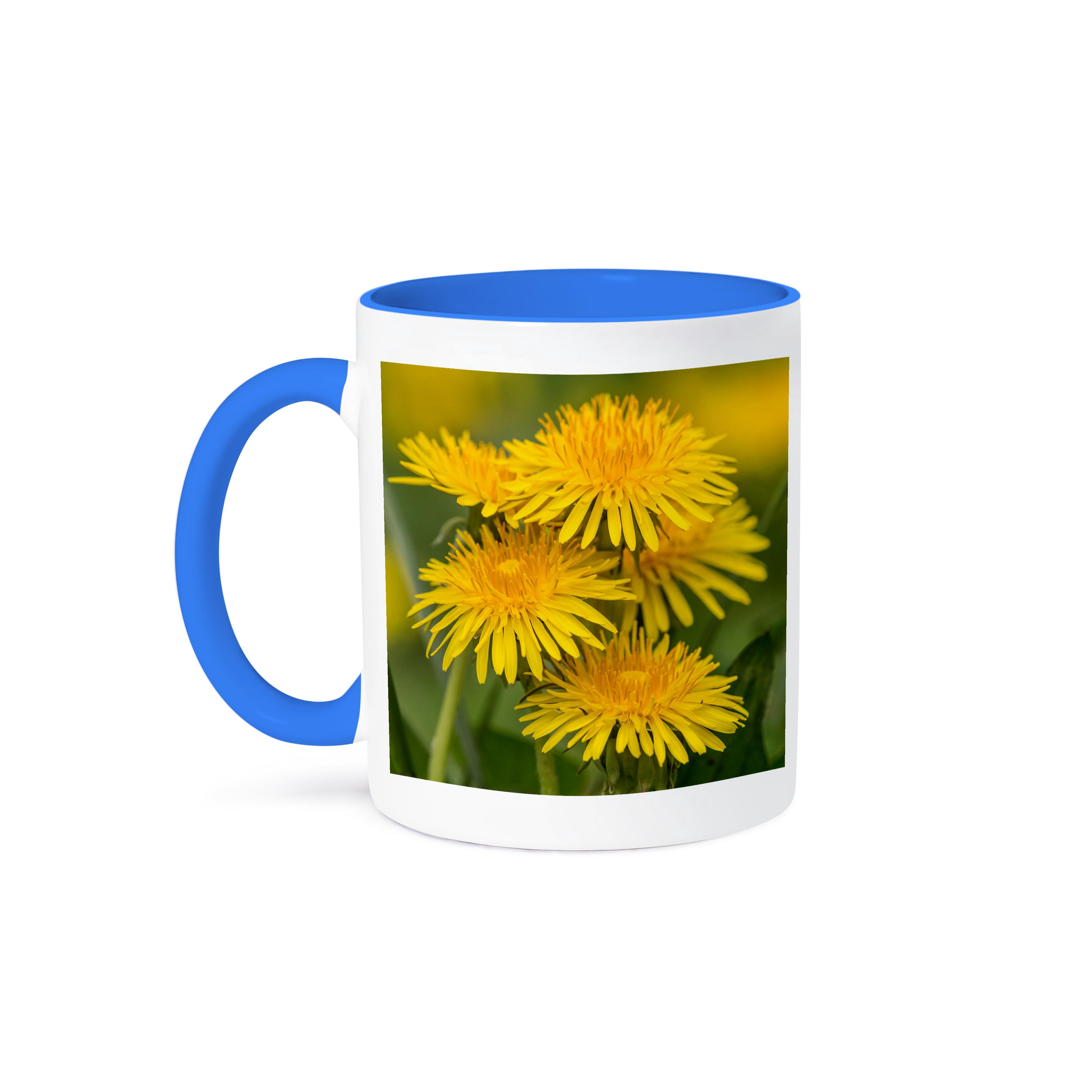 3dRose Cades Cove Smoky Mountains Two Tone Mug - 11 Oz Blue Surprise Image Mug