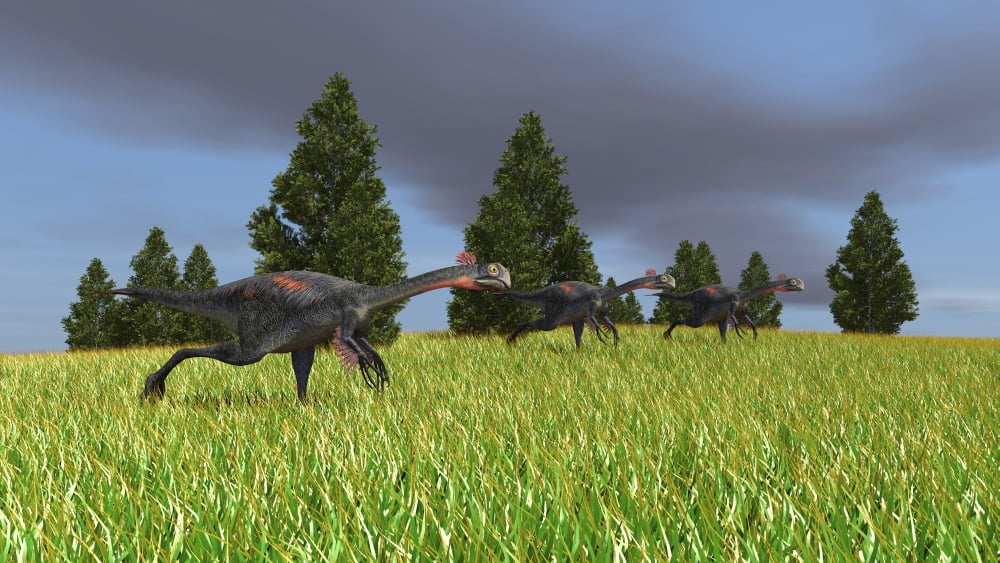 Group of Gigantoraptors running across an open field Canvas Art - Kostyantyn IvanyshenStocktrek Images (38 x 22)