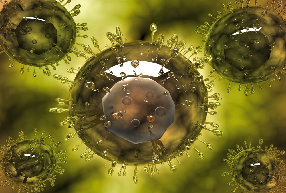 Group of H5N1 virus with glassy view Canvas Art - Stocktrek Images (17 x 12)