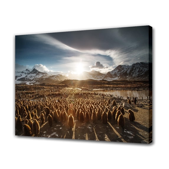 Group of Penguins Near Mountain Under Gray Clouds Canvas Poster Bedroom Decor Sports Landscape Office Room Decor Gift,Frame-style,12x18inch(30x45cm)