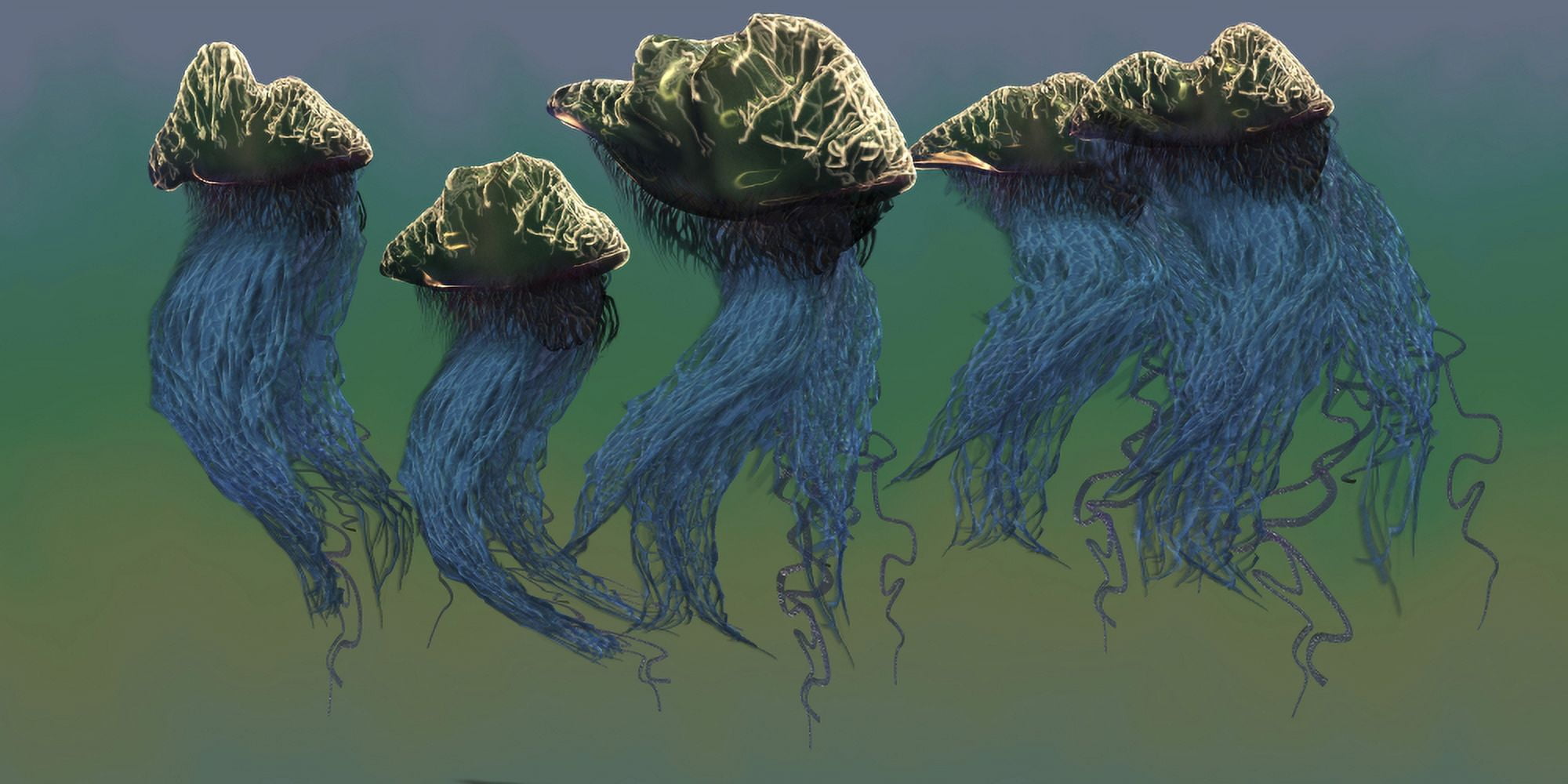Group of Portuguese Man O War Canvas Art - Corey FordStocktrek Images (20 x 10)