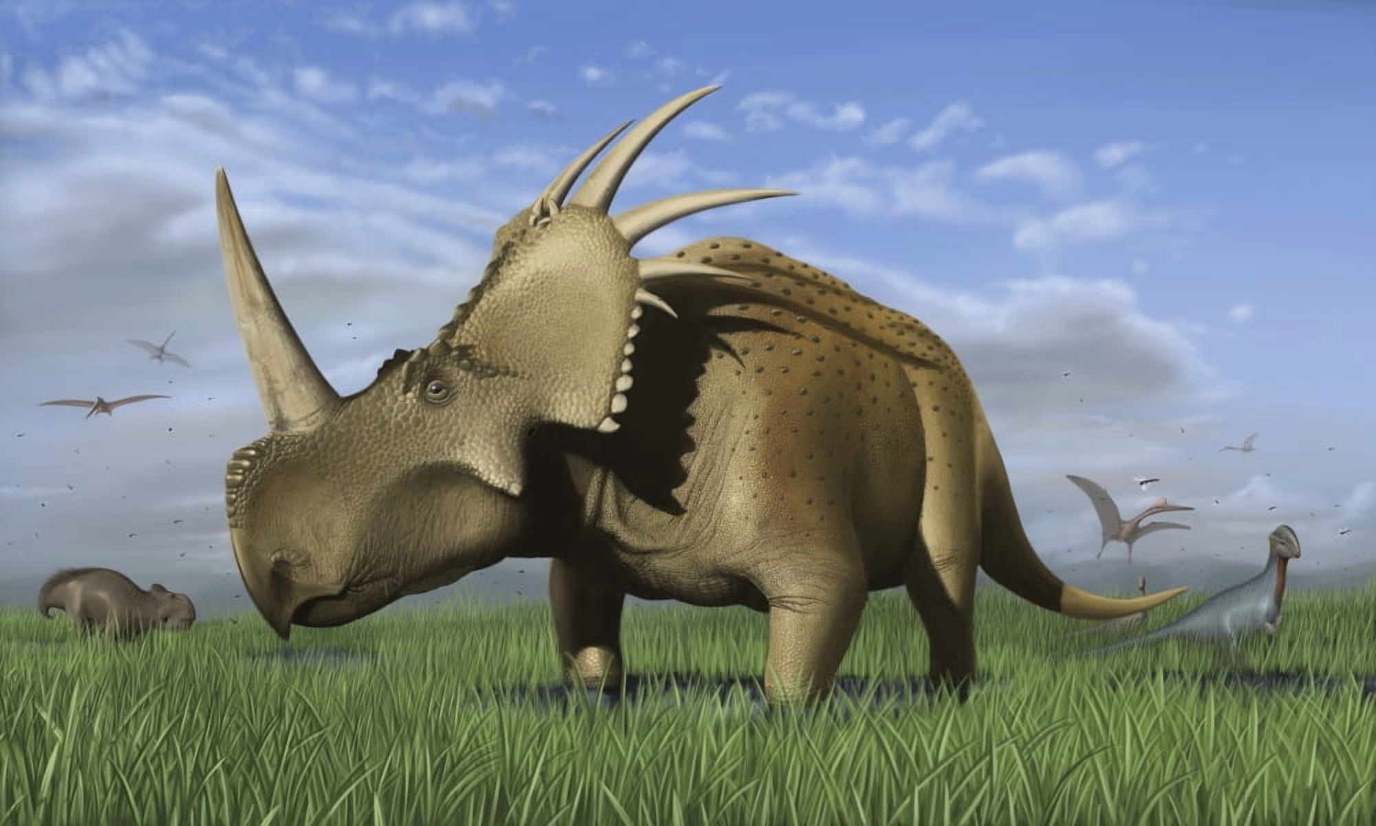 Group of dinosaurs grazing in a grassy field Canvas Art - Michele DessiStocktrek Images (18 x 11)