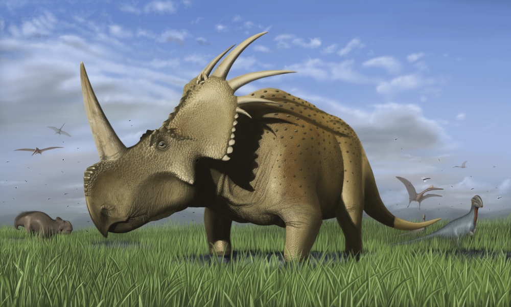 Group of dinosaurs grazing in a grassy field Canvas Art - Michele DessiStocktrek Images (36 x 22)