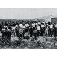 thumbnail image 1 of Group of field-workers at Huttings Tobacco Farm. Poster Print (18 x 24), 1 of 3