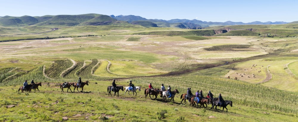 Group of horsemen riding across the fields Lesotho Highlands Semonkong Lesotho Canvas Art - Panoramic Images (27 x 9)