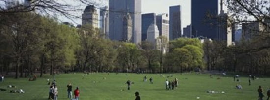 Group of people in a park Central Park Manhattan New York City New York State USA Canvas Art - Panoramic Images (36 x 13)