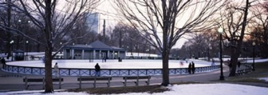 Group of people in a public park Frog Pond Skating Rink Boston Common Boston Suffolk County Massachusetts USA Canvas Art - Panoramic Images (36 x 13)