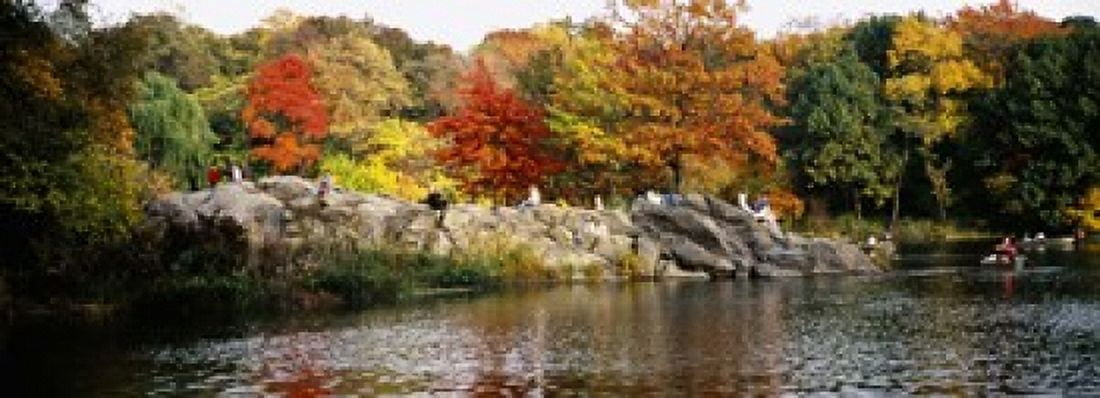 Group of people sitting on rocks Central Park Manhattan New York City New York USA Canvas Art - Panoramic Images (18 x 7)