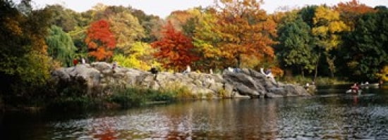 Group of people sitting on rocks Central Park Manhattan New York City New York USA Canvas Art - Panoramic Images (36 x 13)