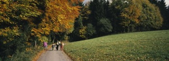 Group of people walking on a walkway in a park St Peter Black Forest Baden-Wurttemberg Germany Canvas Art - Panoramic Images (36 x 13)
