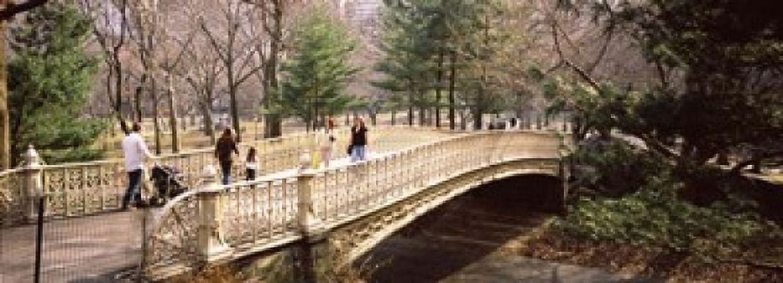 Group of people walking on an arch bridge Central Park Manhattan New York City New York State USA Canvas Art - Panoramic Images (18 x 7)