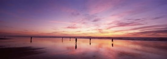 Group of people watching the sunset San Francisco California USA Canvas Art - Panoramic Images (36 x 13)
