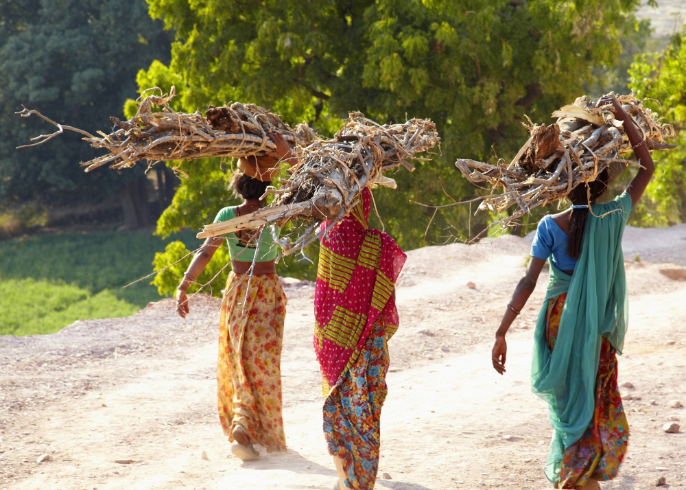 Group of women carrying firewood near Bijaipur2 Rajasthan India Canvas Art - Andy Kerry Design Pics (36 x 26)