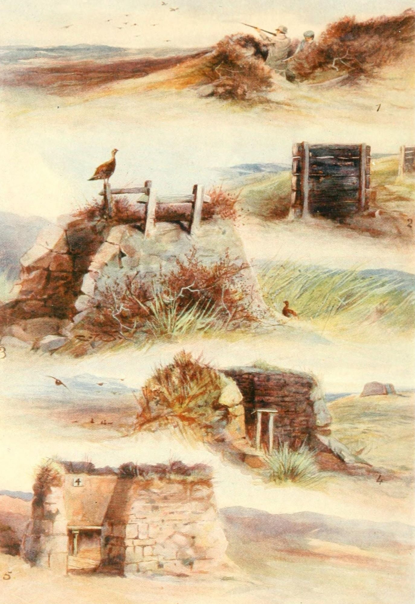 Grouse & Grouse Moors 1910 Butts Canvas Art - Charles Whymper (24 x 36)