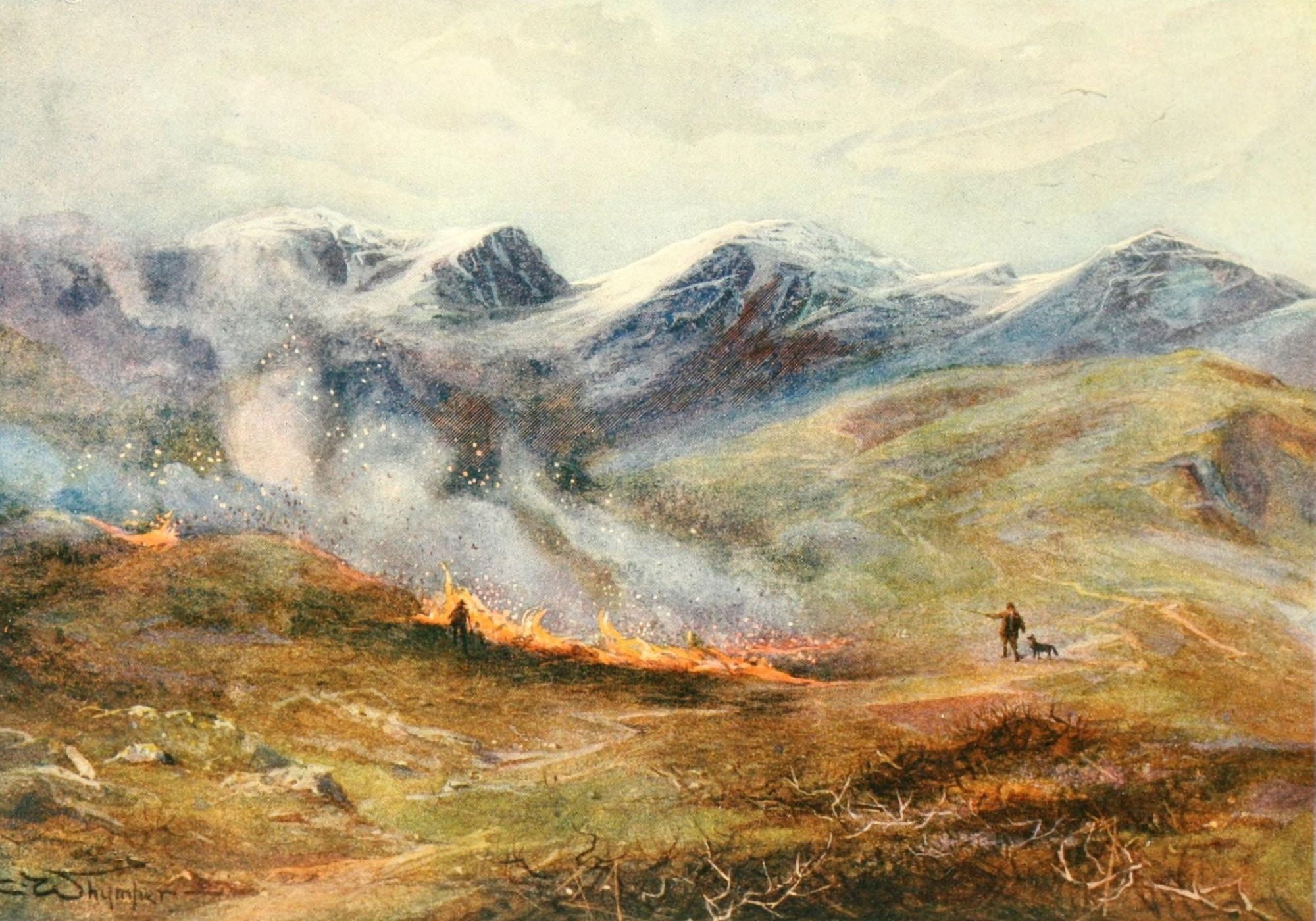 Grouse & Grouse Moors 1910 Heather burning Canvas Art - Charles Whymper (18 x 24)