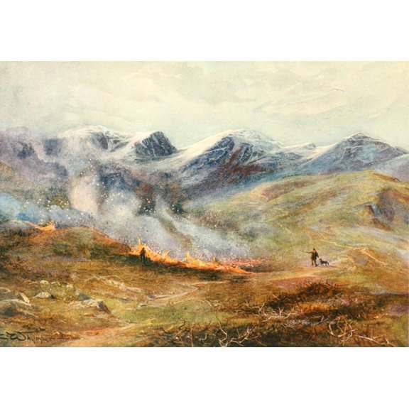 Grouse & Grouse Moors 1910 Heather burning Poster Print by Charles Whymper (24 x 36)