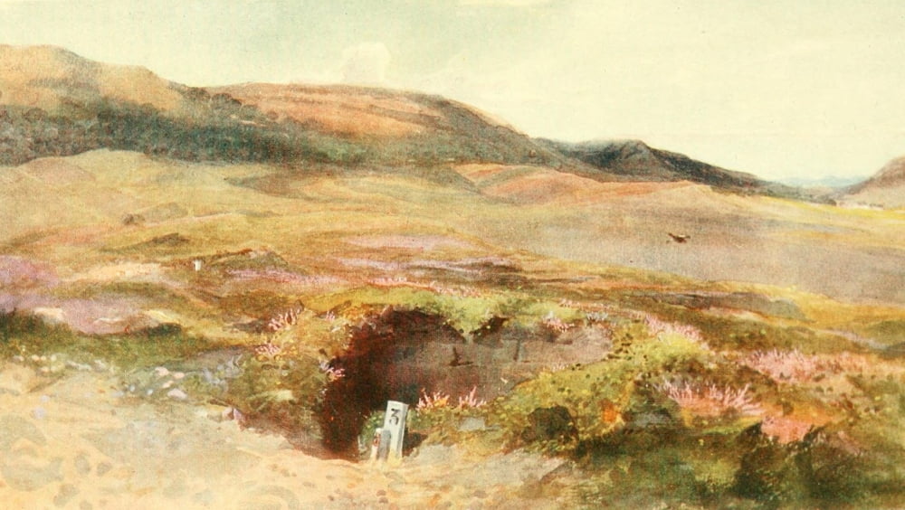 Grouse & Grouse Moors 1910 Sunk butt Canvas Art - Charles Whymper (24 x 36)