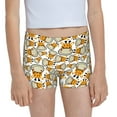 Easygdp Giraffes Head Girls Hipster Cotton Underwear Little Girls
