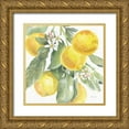 thumbnail image 1 of Grove, Beth 12x12 Gold Ornate Wood Framed with Double Matting Museum Art Print Titled - Citrus Charm Lemons II, 1 of 4