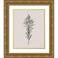 thumbnail image 1 of Grove, Beth 12x14 Gold Ornate Wood Framed with Double Matting Museum Art Print Titled - Harvest Classics IV on Cream, 1 of 4