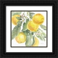 thumbnail image 1 of Grove, Beth 15x15 Black Ornate Wood Framed with Double Matting Museum Art Print Titled - Citrus Charm Lemons II, 1 of 4