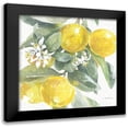 thumbnail image 1 of Grove, Beth 20x20 Black Modern Framed Museum Art Print Titled - Citrus Charm Lemons I, 1 of 5