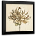 thumbnail image 1 of Grove, Beth 20x20 Black Modern Framed Museum Art Print Titled - Seed Pod I No Words Cream, 1 of 5