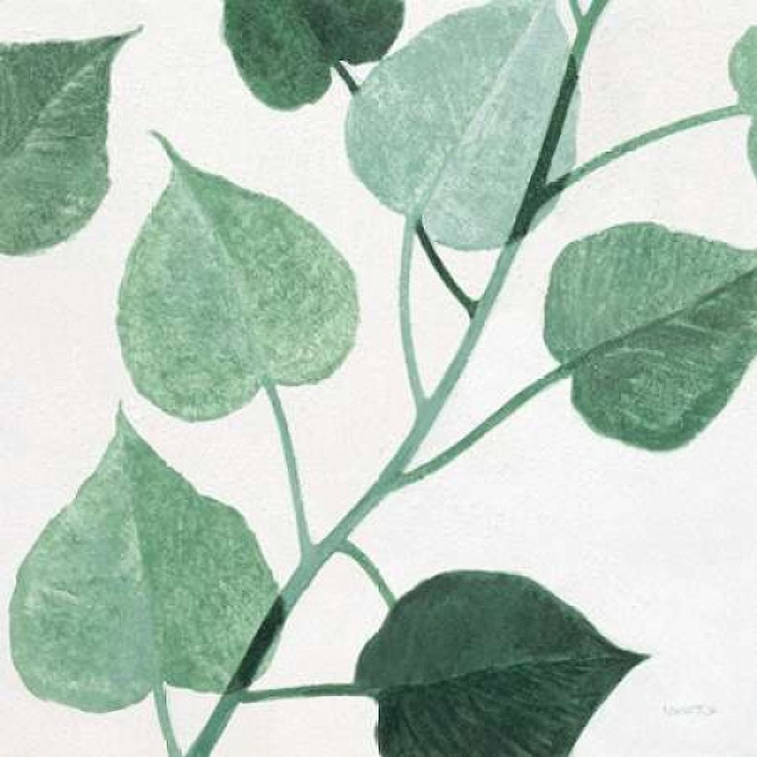 Grove Detail 1 Canvas Art - Norman Jr Wyatt (24 x 24)