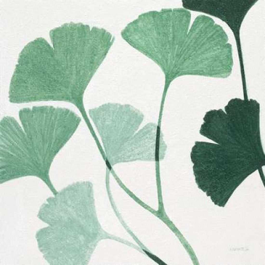 Grove Detail 4 Canvas Art - Norman Jr Wyatt (24 x 24)