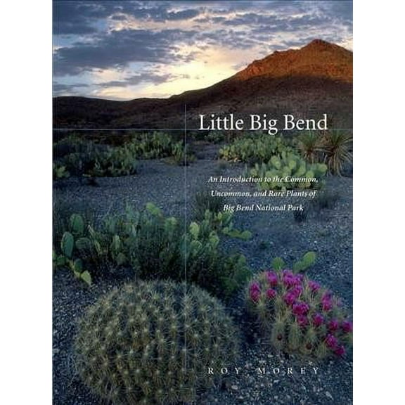 Grover E. Murray Studies in the American Southwest: Little Big Bend : Common, Uncommon, and Rare Plants of Big Bend National Park (Paperback)
