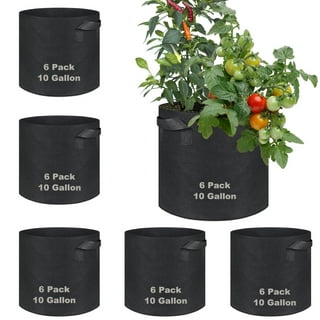 https://i5.walmartimages.com/seo/Grow-Bags-10-Gallon-6-Pack-Large-Fabric-Pots-Heavy-Duty-300g-Thickened-Nonwoven-Handles-Vegetable-Fruits-Flowers-Indoor-Outdoor-Garden-Plants-16-Dia_ebd39992-7ebf-4084-8eff-4f94a89d7e68.b9351cd30aa07466d05316824848e2d0.jpeg?odnHeight=320&odnWidth=320&odnBg=FFFFFF