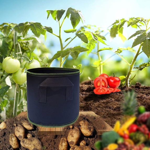 Grow Bags 5 Pack Fabric with Handles Breathable Planters for Tomatoes Potatoes Root Vegetables