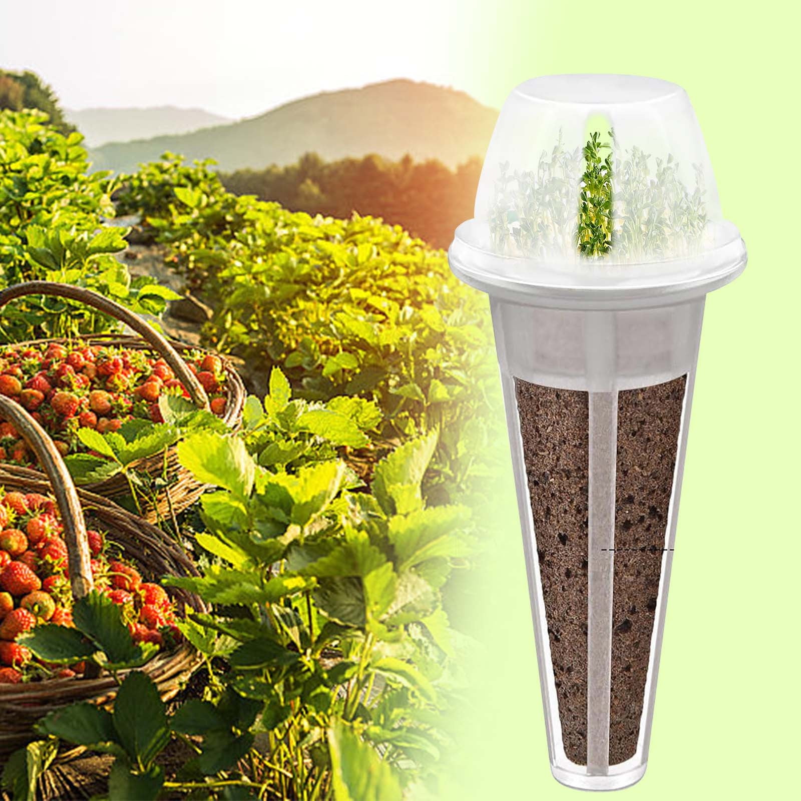 Hydroponic Starter Kit - Walmart.com