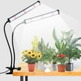 thumbnail image 1 of Grow Light 100W 6000K, Super Bright White Desktop Clip Plant Lamp for Seedlings Succulents Seeds Starting Indoor Plants Growing,Bendable Gooseneck & Timer 4 8 12 H, 1 of 8