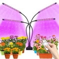 thumbnail image 1 of Grow Light,4 Head Grow Lights for Indoor Plants with Red Blue Spectrum, 4/8/12H Timer, 10 Dimmable Brightness for Indoor Succulent Plants Growth, 3 Switch Modes, Adjustable Gooseneck, 1 of 8