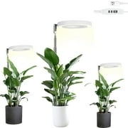 Grow Light, 48 LEDs Full Spectrum Grow Lights for Indoor Plants, Height Adjustable Small Halo Grow Light , 3 Optional Spectrums, Auto Timer 3/9/12Hrs, 10 Brightness