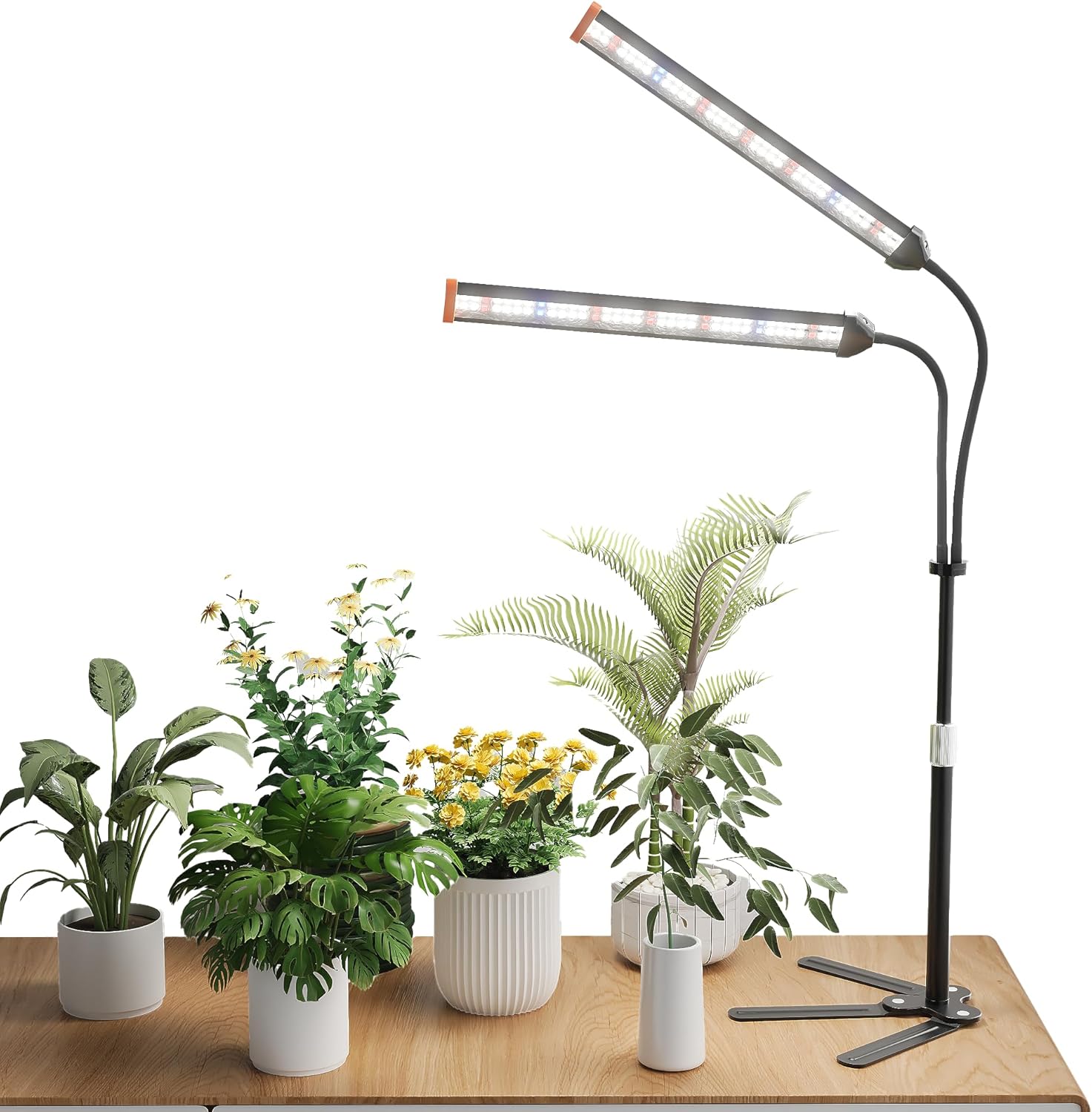 Grow Light for Indoor Plants,5000K Full Spectrum Growing Plant Lamp ...