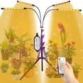 Grow Light for Indoor Plants Full Spectrum with Floor Stand, 80W Plant Light 4/8/12h Timer, 3