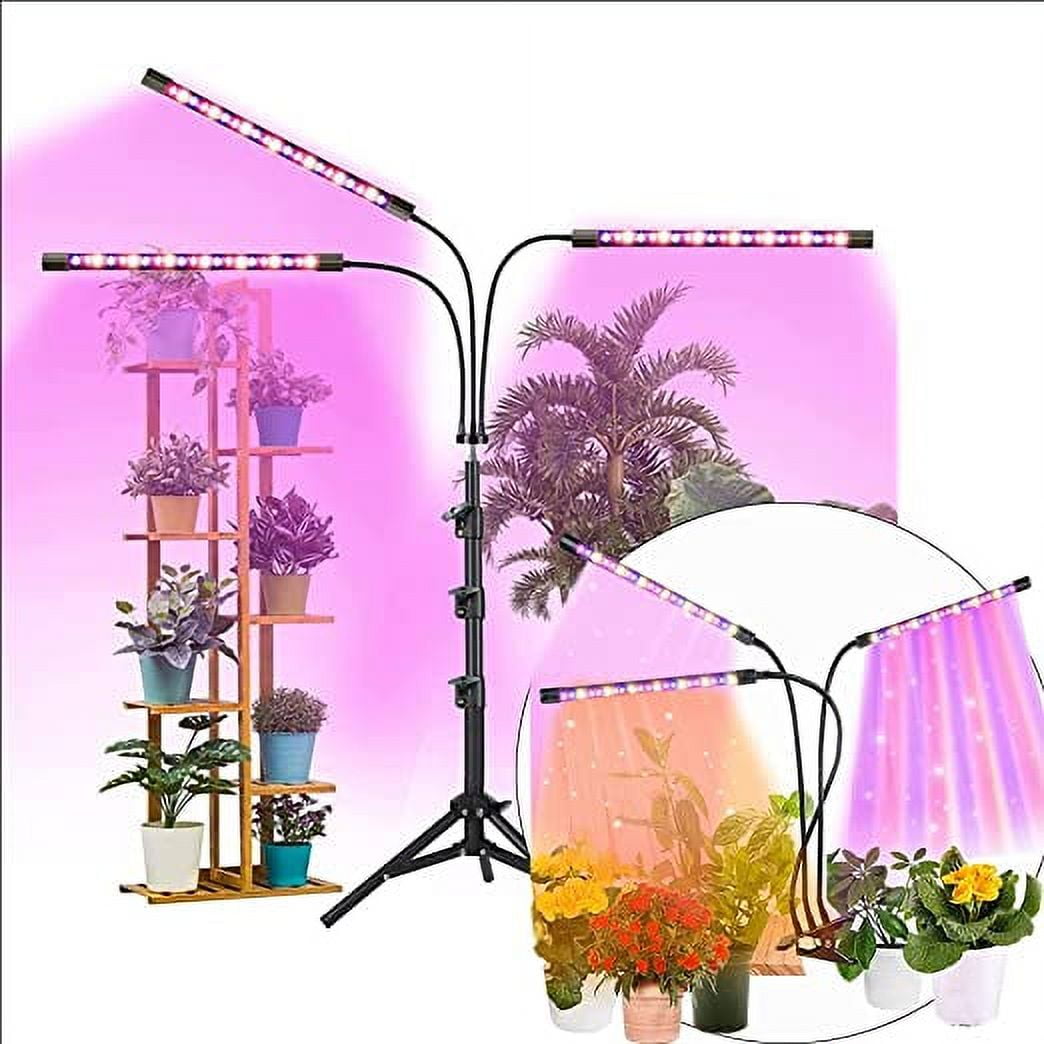Sun lamp for plants walmart deals