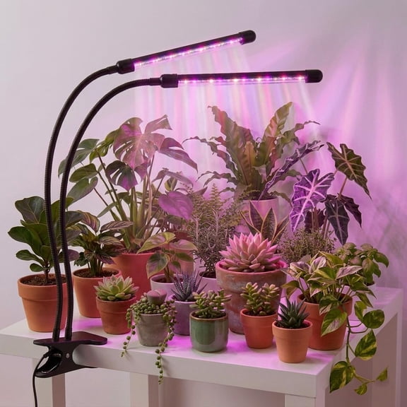 Grow Lights for Indoor Plants 2 Heads Full Spectrum, Flexible Gooseneck Clip On Plant Light 40 LEDs, 3/9/12H Auto Timer 3 Modes 10 Brightness Levels for Seed Starting, Flowers & Vegetables