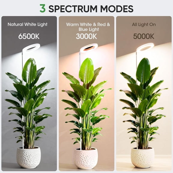 Grow Lights for Indoor Plants, 72 LED 6500K Full Spectrum, 59in Tall Plant Light, 3 Color Grow Lamp with Rotating Gooseneck, 8/12/16H Timer, 10 Brightness Levels, Height Adjustable$$Garden & Patio
