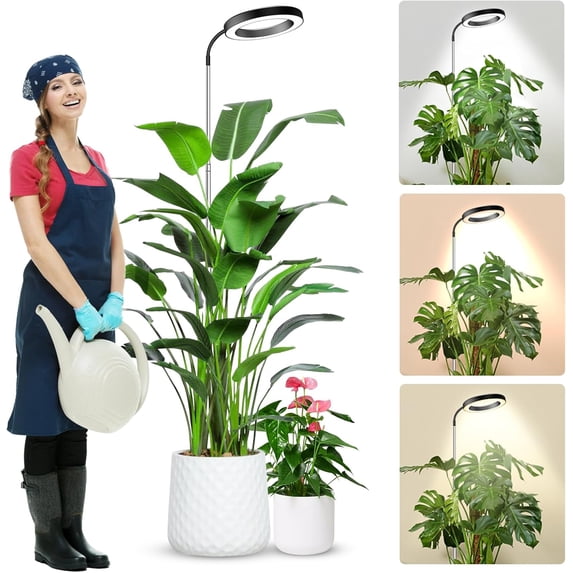 Grow Lights for Indoor Plants Full Spectrum, 80 LEDs 3 Colors Grow Light, 65in Plant Lights for Indoor Growing with 360°Gooseneck, 6/12/16H Timer, 5 Brightness, Height Adjustable, White Pair