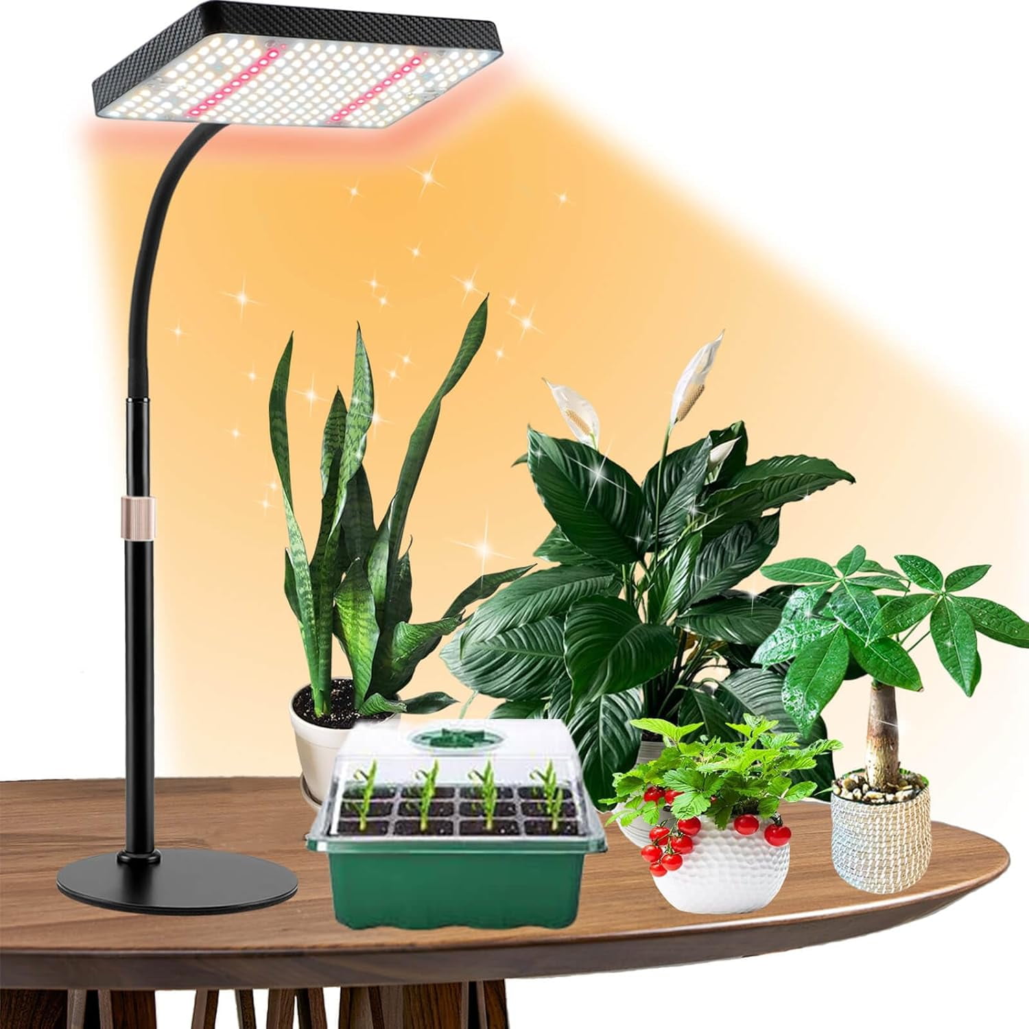 Grow Lights for Indoor Plants Full Spectrum, Table Top Plant Lights for