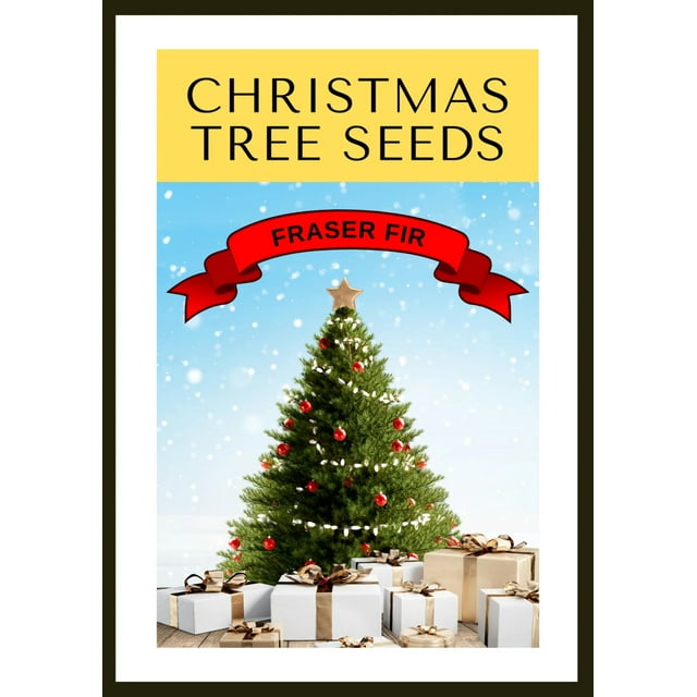 Grow Your Own CHRISTMAS TREE Fraser Fir ( Abies Fraseri ) Gift Packet