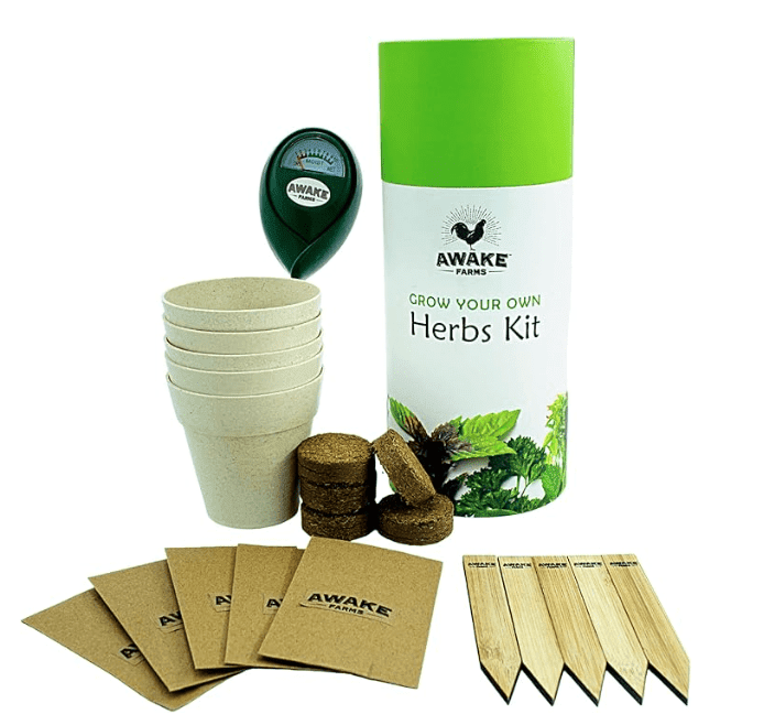 Grow Your Own Herbs Kit 5 Herb Plant Seeds, Indoor - Walmart.com