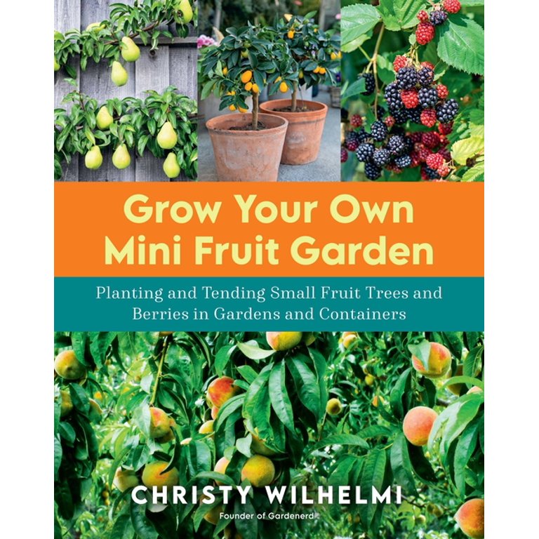 https://i5.walmartimages.com/seo/Grow-Your-Own-Mini-Fruit-Garden-Planting-and-Tending-Small-Fruit-Trees-and-Berries-in-Gardens-and-Containers-Paperback-9780760370261_6cc92598-9098-49e6-b1ff-042341f6fc74.460a20c7452e31bded2766320ffc0002.jpeg?odnHeight=768&odnWidth=768&odnBg=FFFFFF