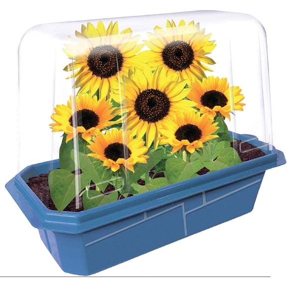Unique Gardener Sunflower Growing Kit - Indoor Plant Seed Starter Set with Seeds, Soil, Planter - Bright Flower Garden Gift Easy Gardening for Beginners - Home or Classroom Plant Growing Kit