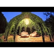 Grow a Willow Structure 10 Willow Trees